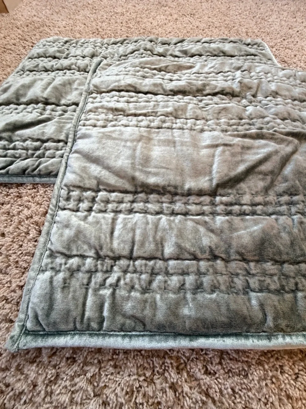 New Anthropologie set of 2 lustered velvet Alastair pillow shams moss blue green